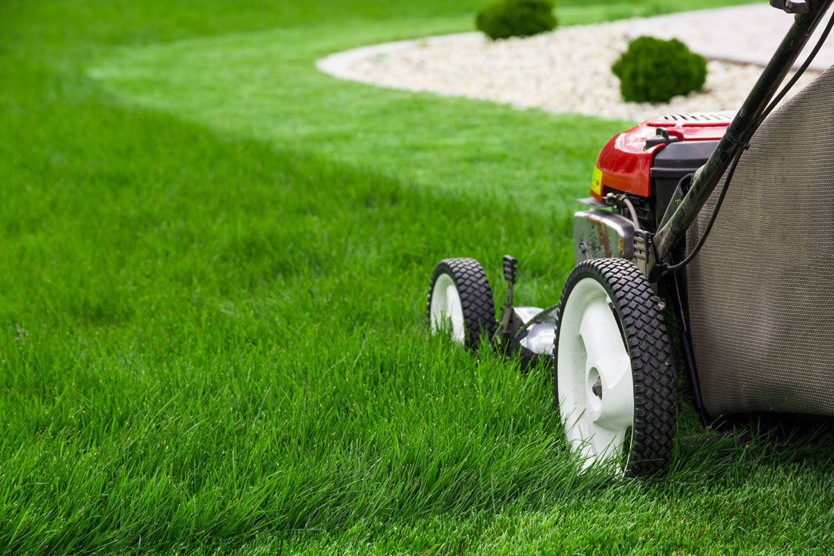 Lawn Mowing & Edging