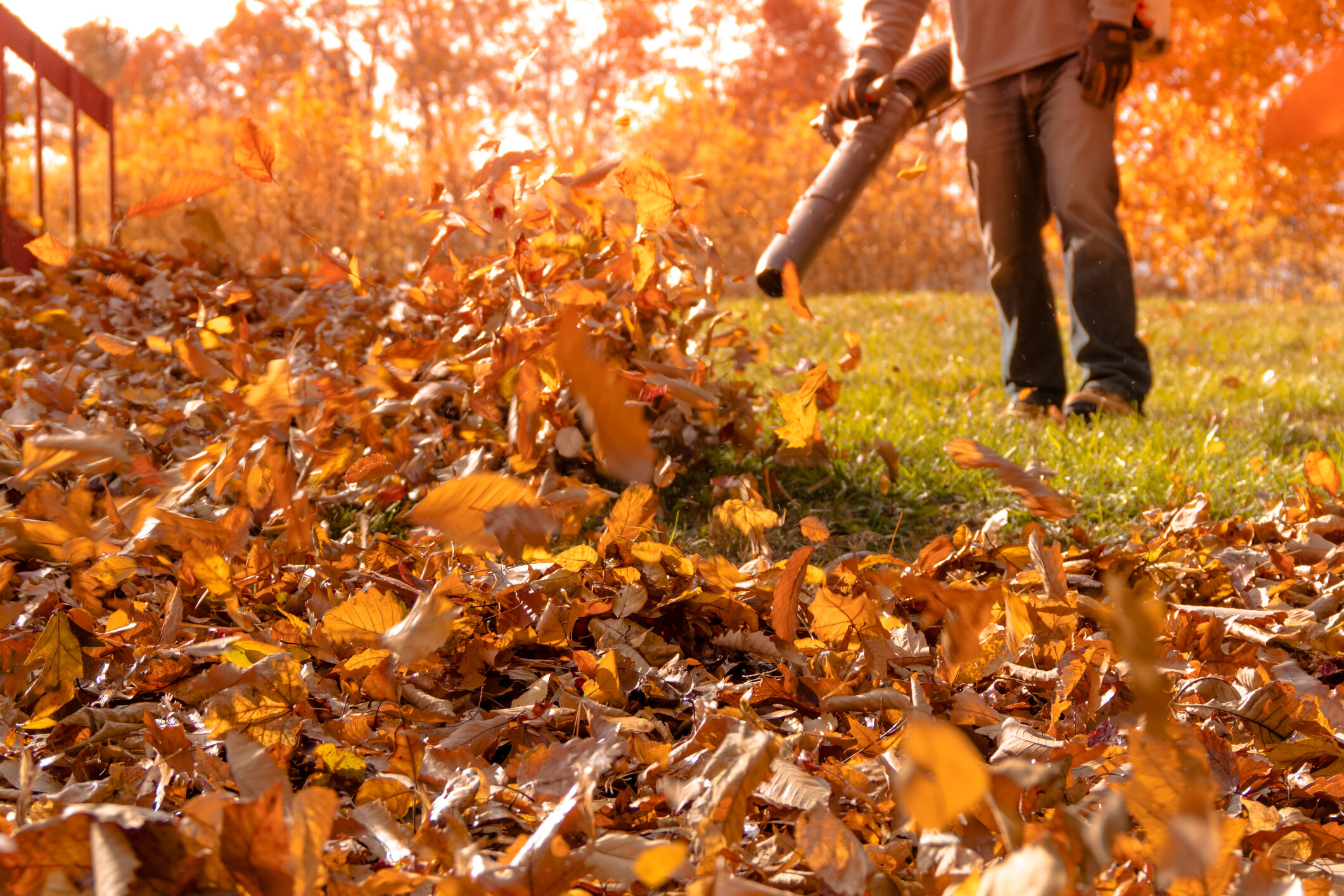 General Clean-Up